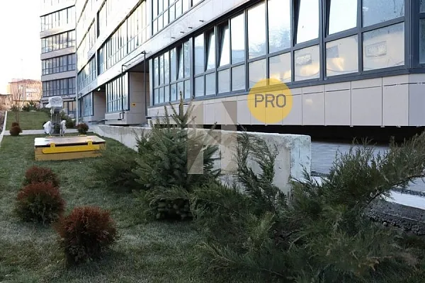 Количество комнат: Студия,  30 кв.м.