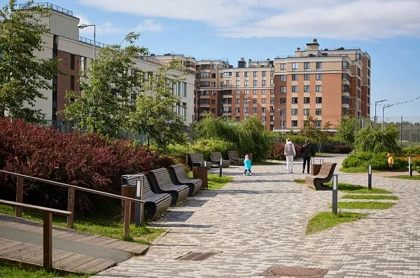 Брусника в Новоселье